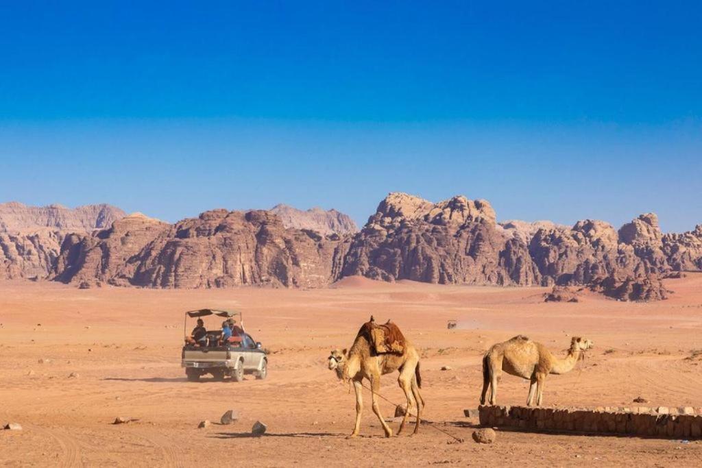 فندق Bedouins Life Camp العقبة المظهر الخارجي الصورة