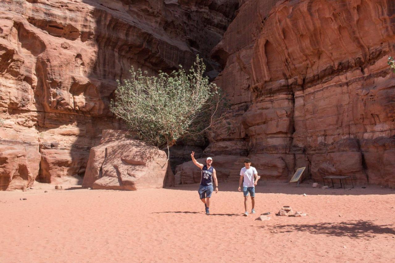 فندق Bedouins Life Camp العقبة المظهر الخارجي الصورة