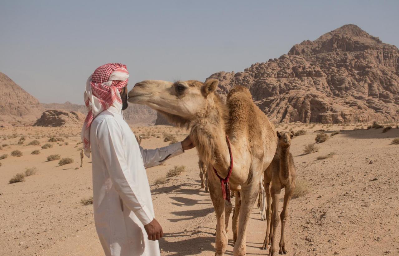 فندق Bedouins Life Camp العقبة المظهر الخارجي الصورة