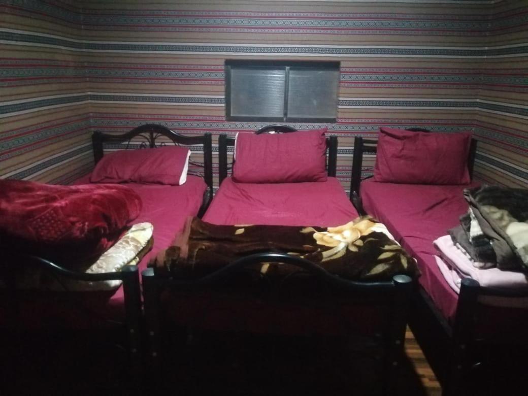 فندق Bedouins Life Camp العقبة المظهر الخارجي الصورة
